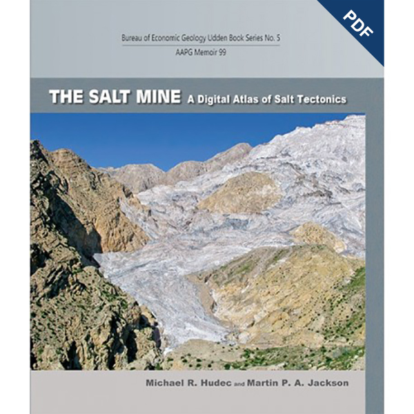 The salt mine pdf